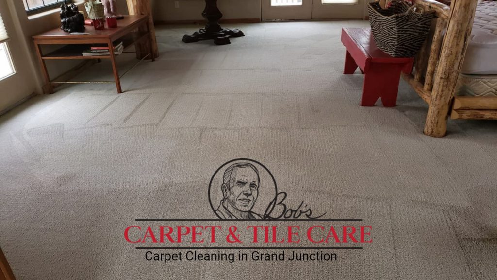 Carpet Cleaning in Grand Junction Bedroom floor