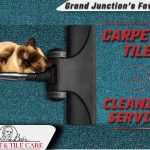 Bob's Carpet & Tile Care Pet Odor Removal and stain removal